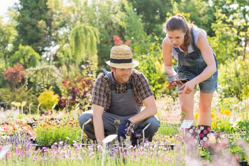 Wheelchair-accessible lawn mowing service depiction near a suburban Kenton garden