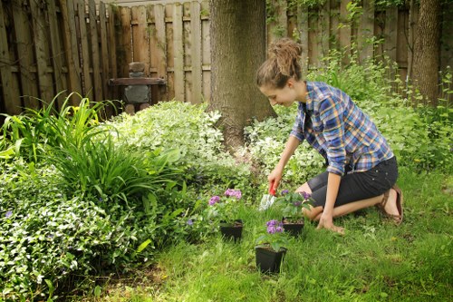 Expert lawn care specialists in Kenton