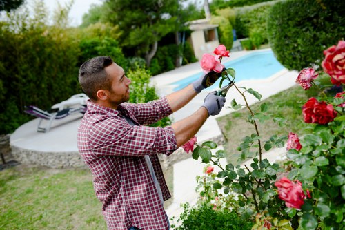 Professional lawn mower trimming a green lawn in Kenton