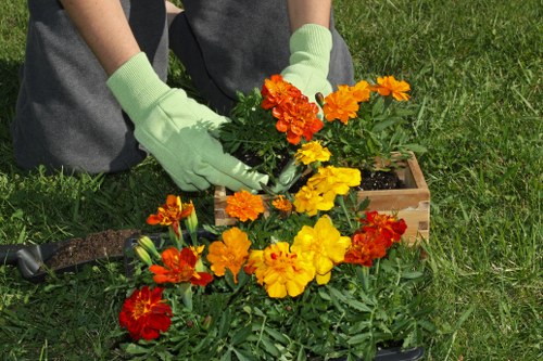Beautifully maintained green lawn by professional services in Kenton